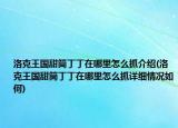 洛克王國甜筒丁丁在哪里怎么抓介紹(洛克王國甜筒丁丁在哪里怎么抓詳細(xì)情況如何)