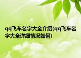 qq飛車名字大全介紹(qq飛車名字大全詳細(xì)情況如何)