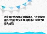 劍靈松樹林怎么走啊(我跳不上去啊介紹 劍靈松樹林怎么走啊 我跳不上去啊詳細(xì)情況如何)