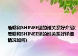 鹿晗和SHINEE里的誰關(guān)系好介紹(鹿晗和SHINEE里的誰關(guān)系好詳細(xì)情況如何)