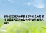 歌詞(蔚藍是天的夢的名字叫什么介紹 歌詞 蔚藍是天的夢的名字叫什么詳細情況如何)