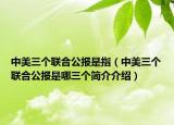 中美三個聯(lián)合公報(bào)是指（中美三個聯(lián)合公報(bào)是哪三個簡介介紹）