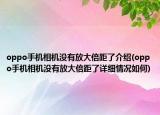 oppo手機(jī)相機(jī)沒(méi)有放大倍距了介紹(oppo手機(jī)相機(jī)沒(méi)有放大倍距了詳細(xì)情況如何)