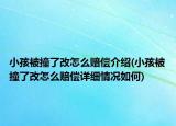 小孩被撞了改怎么賠償介紹(小孩被撞了改怎么賠償詳細(xì)情況如何)