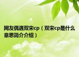 網(wǎng)友偶遇雙宋cp（雙宋cp是什么意思簡介介紹）