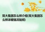 雙大集團怎么樣介紹(雙大集團怎么樣詳細情況如何)