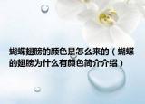 蝴蝶翅膀的顏色是怎么來的（蝴蝶的翅膀?yàn)槭裁从蓄伾?jiǎn)介介紹）