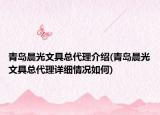 青島晨光文具總代理介紹(青島晨光文具總代理詳細(xì)情況如何)