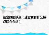迷宮蛛的缺點(diǎn)（迷宮蛛有什么特點(diǎn)簡介介紹）