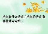 松樹有什么特點(diǎn)（松樹的特點(diǎn) 有哪些簡介介紹）