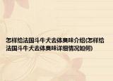 怎樣給法國斗牛犬去體臭味介紹(怎樣給法國斗牛犬去體臭味詳細情況如何)