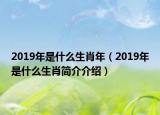 2019年是什么生肖年（2019年是什么生肖簡介介紹）