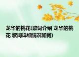 龍華的桃花(歌詞介紹 龍華的桃花 歌詞詳細情況如何)