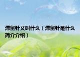 滯留針又叫什么（滯留針是什么簡介介紹）