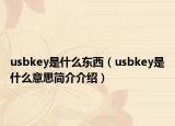 usbkey是什么東西（usbkey是什么意思簡介介紹）