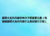 霹靂火龍丹丹被恐怖分子抓是第幾集（電視劇霹靂火龍丹丹是什么身份簡(jiǎn)介介紹）