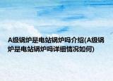 A級鍋爐是電站鍋爐嗎介紹(A級鍋爐是電站鍋爐嗎詳細(xì)情況如何)