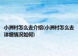 小洲村怎么去介紹(小洲村怎么去詳細(xì)情況如何)