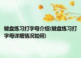 鍵盤練習(xí)打字母介紹(鍵盤練習(xí)打字母詳細(xì)情況如何)