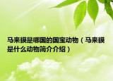 馬來貘是哪國的國寶動物（馬來貘是什么動物簡介介紹）