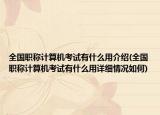 全國職稱計算機考試有什么用介紹(全國職稱計算機考試有什么用詳細情況如何)