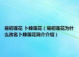 易初蓮花 卜蜂蓮花（易初蓮花為什么改名卜蜂蓮花簡介介紹）