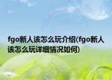 fgo新人該怎么玩介紹(fgo新人該怎么玩詳細(xì)情況如何)