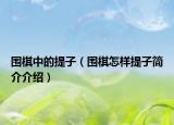 圍棋中的提子（圍棋怎樣提子簡介介紹）