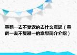 黃鶴一去不復返的去什么意思（黃鶴一去不復返一的意思簡介介紹）