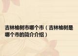 吉林榆樹(shù)市哪個(gè)市（吉林榆樹(shù)是哪個(gè)市的簡(jiǎn)介介紹）