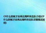 CF什么時候才會再出海豹突擊隊介紹(CF什么時候才會再出海豹突擊隊詳細(xì)情況如何)
