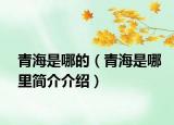 青海是哪的（青海是哪里簡介介紹）