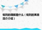 銳利的理解是什么（銳利的寓意簡介介紹）