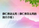 薛仁貴這么死（薛仁貴怎么死的簡介介紹）