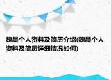 魏晨個人資料及簡歷介紹(魏晨個人資料及簡歷詳細(xì)情況如何)