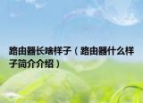 路由器長(zhǎng)啥樣子（路由器什么樣子簡(jiǎn)介介紹）