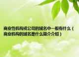 商業(yè)性機(jī)構(gòu)或公司的域名中一般有什么（商業(yè)機(jī)構(gòu)的域名是什么簡(jiǎn)介介紹）