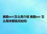 賽酷ocr(怎么用介紹 賽酷ocr 怎么用詳細(xì)情況如何)