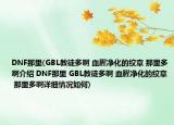 DNF那里(GBL教徒多啊 血腥凈化的紋章 那里多啊介紹 DNF那里 GBL教徒多啊 血腥凈化的紋章 那里多啊詳細情況如何)