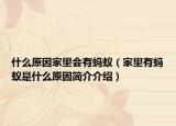 什么原因家里會有螞蟻（家里有螞蟻是什么原因簡介介紹）
