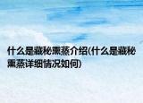 什么是藏秘熏蒸介紹(什么是藏秘熏蒸詳細(xì)情況如何)