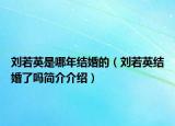 劉若英是哪年結婚的（劉若英結婚了嗎簡介介紹）
