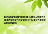 泰坦神鐵礦石選礦能選出什么(商業(yè)人事來下介紹 泰坦神鐵礦石選礦能選出什么 商業(yè)人事來下詳細(xì)情況如何)