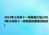 2013年小米雙十一銷售額介紹(2013年小米雙十一銷售額詳細(xì)情況如何)