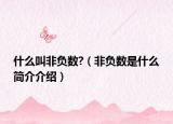 什么叫非負(fù)數(shù)?（非負(fù)數(shù)是什么簡介介紹）