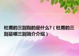 杜甫的三別指的是什么?（杜甫的三別是哪三別簡介介紹）