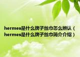 hermes是什么牌子絲巾怎么辨認(rèn)（hermes是什么牌子絲巾簡介介紹）