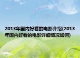 2013年國內好看的電影介紹(2013年國內好看的電影詳細情況如何)