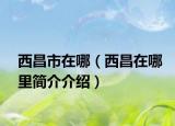 西昌市在哪（西昌在哪里簡介介紹）