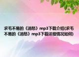求毛不易的《消愁》mp3下載介紹(求毛不易的《消愁》mp3下載詳細情況如何)